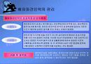 글로벌 기업의 조직구조와 인적자원관리 21페이지