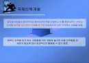 글로벌 기업의 조직구조와 인적자원관리 22페이지
