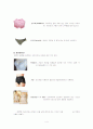 속옷의 역사 4페이지