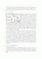 님비현상(NIMBY)과 핌피현상(PIMFY),대형 환경 오염사건 7페이지