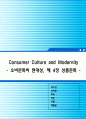 소비문화와 현대성 서평 1페이지