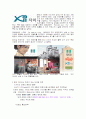 자이 마케팅사례분석 3페이지