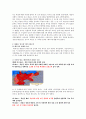 윌슨의 미국의회 연설문과 베르사유 조약을 통해 본 세계 평화문제 5페이지