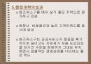 영국의 완즈워스 구의 납세자 헌장(선진국시민참여사례) 16페이지