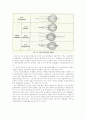 안경렌즈의 조사 4페이지