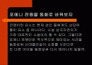 다시 살아난 동화 11페이지