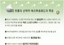 한국IBM과 GS유통의 선택적 복리후생제도 17페이지