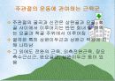 주관절 손상의 재활 프로그램 4페이지