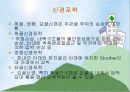 주관절 손상의 재활 프로그램 9페이지