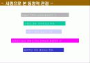 한용운과 타고르의 영향관계 8페이지