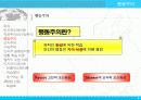 인지적 도제이론 5페이지