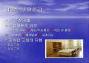 (장애인 복지론) 재활의 과정 및 분야 12페이지