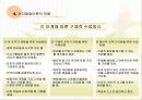 피아제의 인지발달 ppt 10페이지