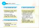 피아제의 인지발달 ppt 11페이지