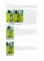 골프(Golf)의 유래와 규칙 기본자세 5페이지