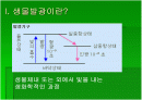 luminous bacteria 2페이지