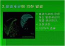 luminous bacteria 9페이지