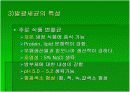 luminous bacteria 13페이지