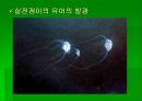 luminous bacteria 22페이지