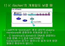 luminous bacteria 28페이지