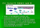 luminous bacteria 29페이지