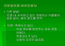 luminous bacteria 38페이지