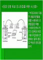 luminous bacteria 40페이지
