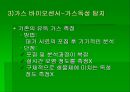 luminous bacteria 42페이지
