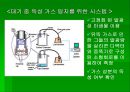 luminous bacteria 43페이지
