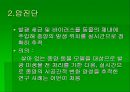 luminous bacteria 46페이지