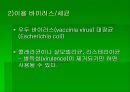 luminous bacteria 48페이지