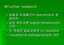 luminous bacteria 53페이지