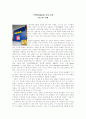 [사회과학] 이케아(IKEA) 광고소개 1페이지