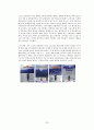 LG전자 敗者에서 覇者로 (LG전자 비전 2010) 25페이지