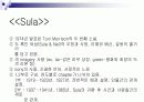멜로드라마, 영화 더 칼라 퍼플 분석 13페이지