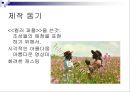 멜로드라마, 영화 더 칼라 퍼플 분석 27페이지