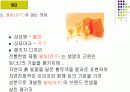 한방목욕용품 사업계획서 및 마케팅전략기획서 7페이지