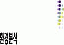 한방목욕용품 사업계획서 및 마케팅전략기획서 12페이지