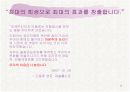 민들레영토 마케팅사례분석 3페이지
