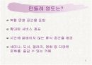 민들레영토 마케팅사례분석 5페이지