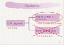 민들레영토 마케팅사례분석 21페이지