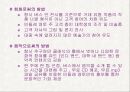 민들레영토 마케팅사례분석 35페이지