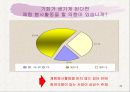 민들레영토 마케팅사례분석 43페이지