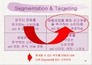 민들레영토 마케팅사례분석 46페이지