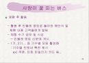 민들레영토 마케팅사례분석 49페이지