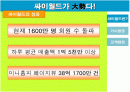 싸이월드 마케팅전략분석 1페이지
