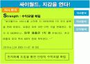 싸이월드 마케팅전략분석 9페이지