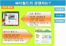 싸이월드 마케팅전략분석 13페이지
