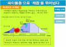 싸이월드 마케팅전략분석 15페이지