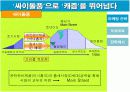 싸이월드 마케팅전략분석 16페이지